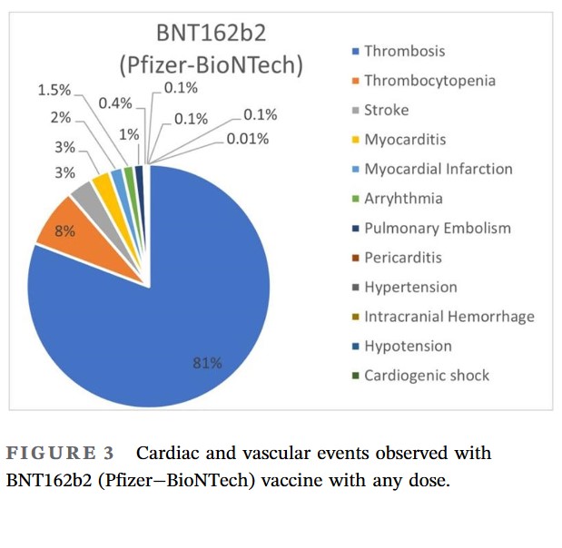 F I G U R E 3 Cardiac and vascular events observed with BNT162b2 (Pfizer−BioNTech) vaccine with any dose.