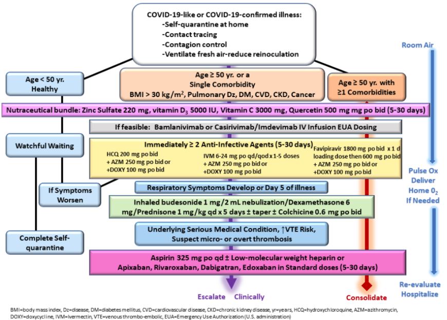 Protocol flowchart