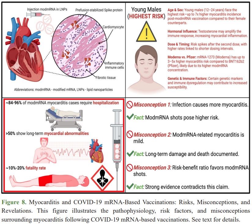 Myocarditis and COVID-19 mRNA-Based Vaccinations: Risks, Misconceptions, and Revelations